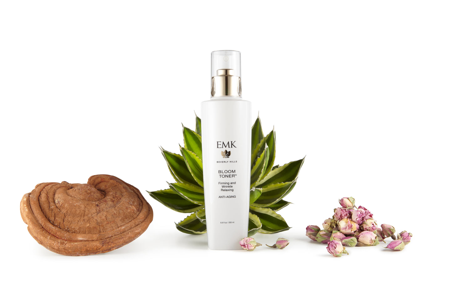Bloom Toner